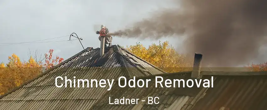  Chimney Odor Removal Ladner - BC