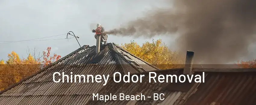  Chimney Odor Removal Maple Beach - BC