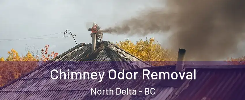  Chimney Odor Removal North Delta - BC