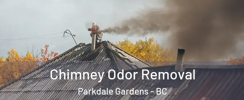  Chimney Odor Removal Parkdale Gardens - BC