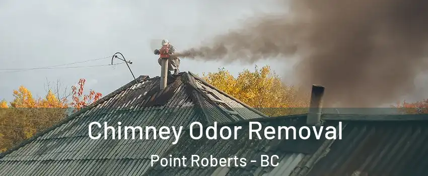  Chimney Odor Removal Point Roberts - BC