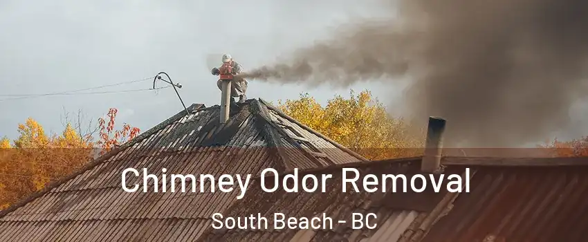  Chimney Odor Removal South Beach - BC