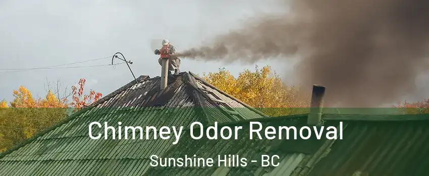  Chimney Odor Removal Sunshine Hills - BC