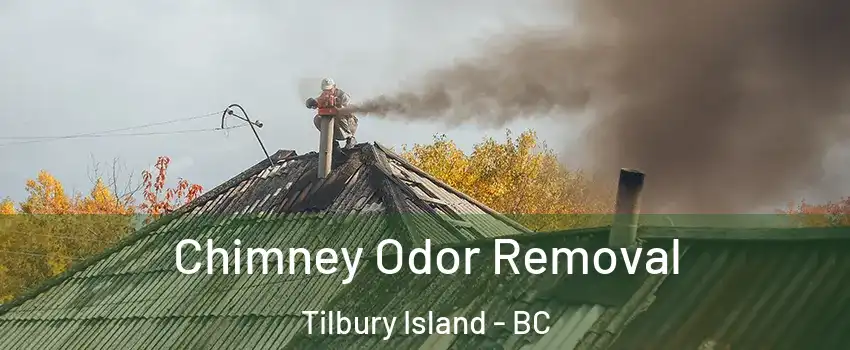  Chimney Odor Removal Tilbury Island - BC