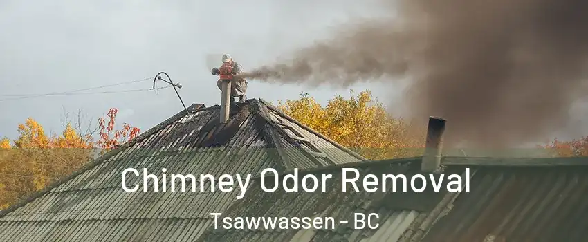  Chimney Odor Removal Tsawwassen - BC