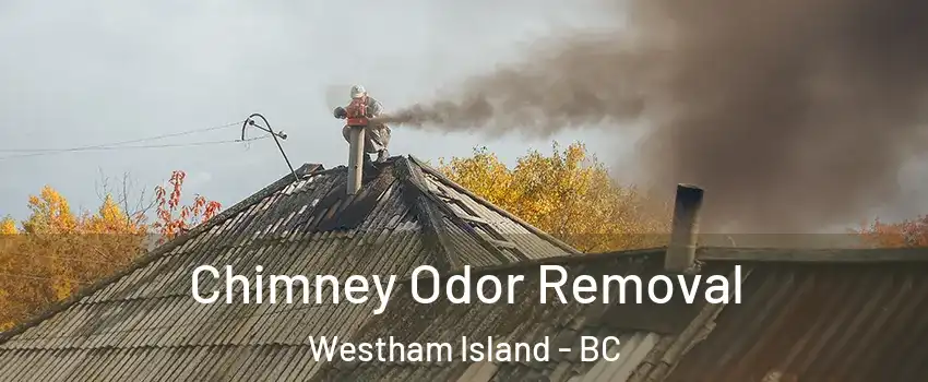 Chimney Odor Removal Westham Island - BC