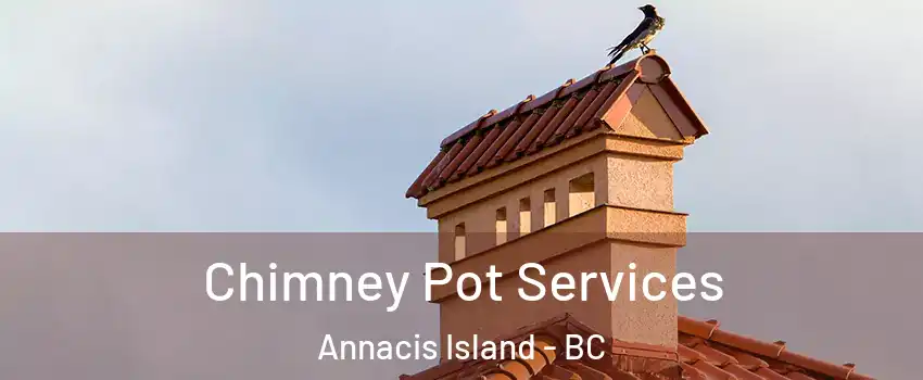  Chimney Pot Services Annacis Island - BC