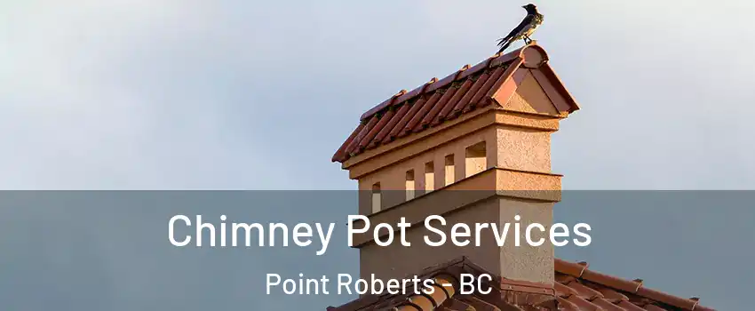  Chimney Pot Services Point Roberts - BC