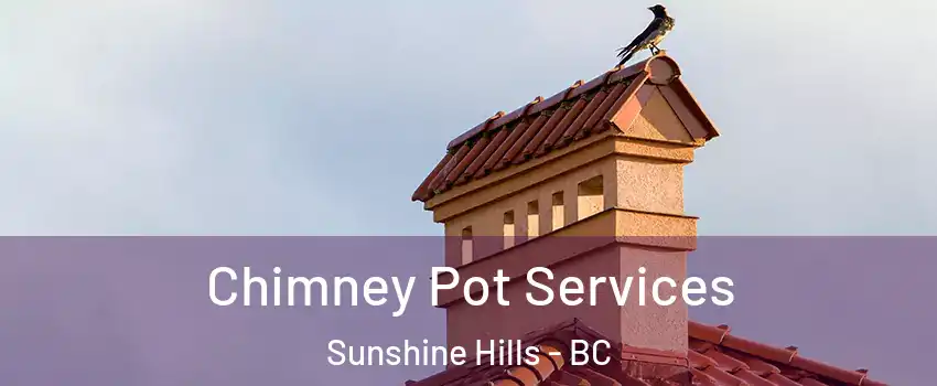  Chimney Pot Services Sunshine Hills - BC