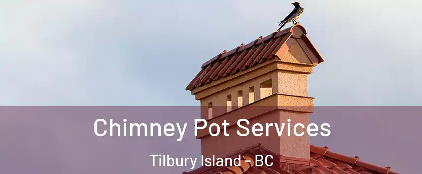  Chimney Pot Services Tilbury Island - BC