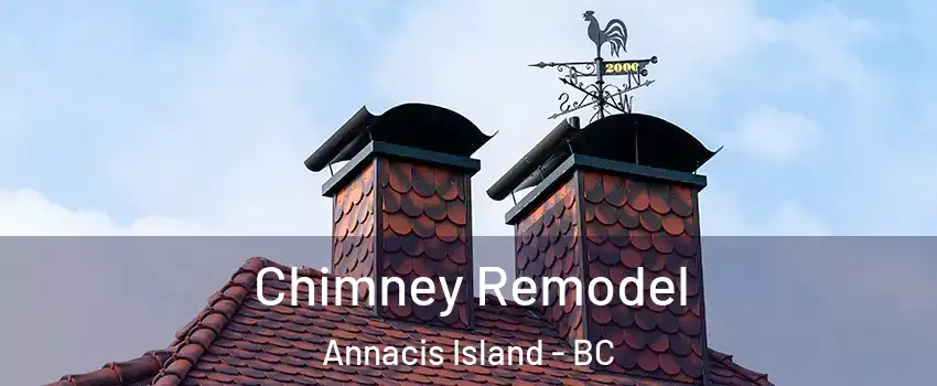  Chimney Remodel Annacis Island - BC