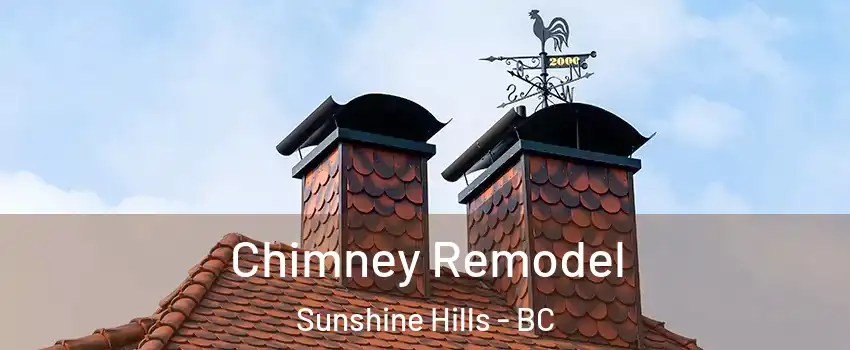  Chimney Remodel Sunshine Hills - BC