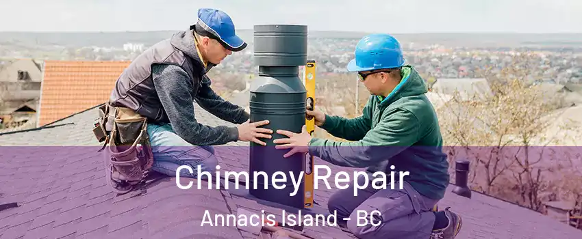  Chimney Repair Annacis Island - BC