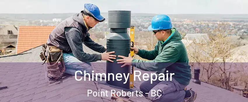  Chimney Repair Point Roberts - BC