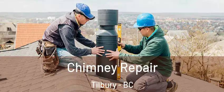  Chimney Repair Tilbury - BC