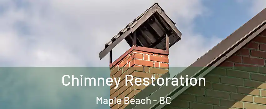  Chimney Restoration Maple Beach - BC