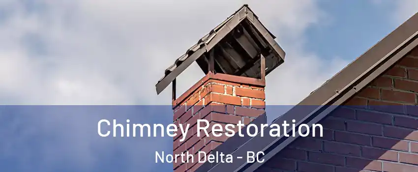  Chimney Restoration North Delta - BC