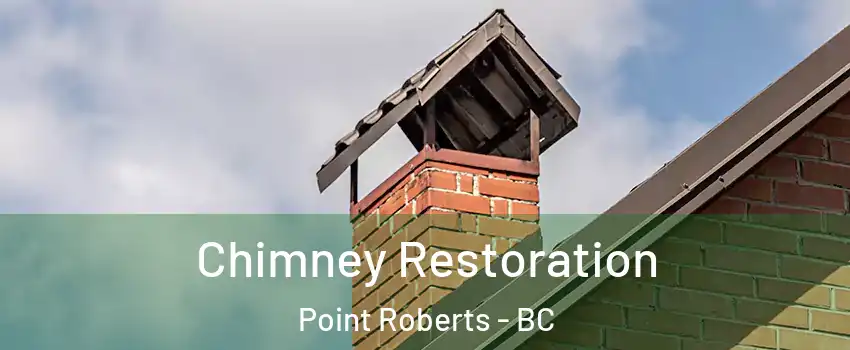  Chimney Restoration Point Roberts - BC