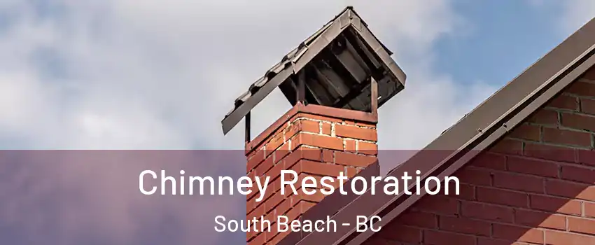  Chimney Restoration South Beach - BC