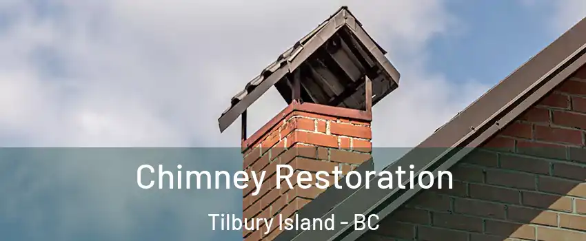  Chimney Restoration Tilbury Island - BC