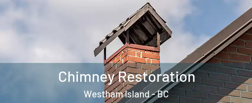  Chimney Restoration Westham Island - BC