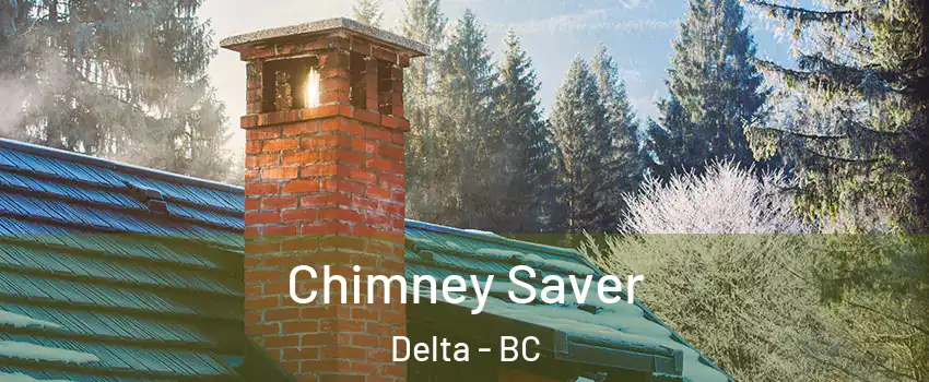  Chimney Saver Delta - BC