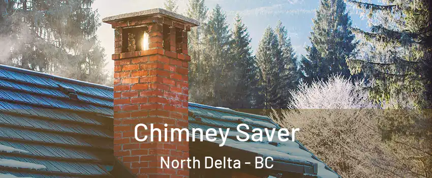  Chimney Saver North Delta - BC