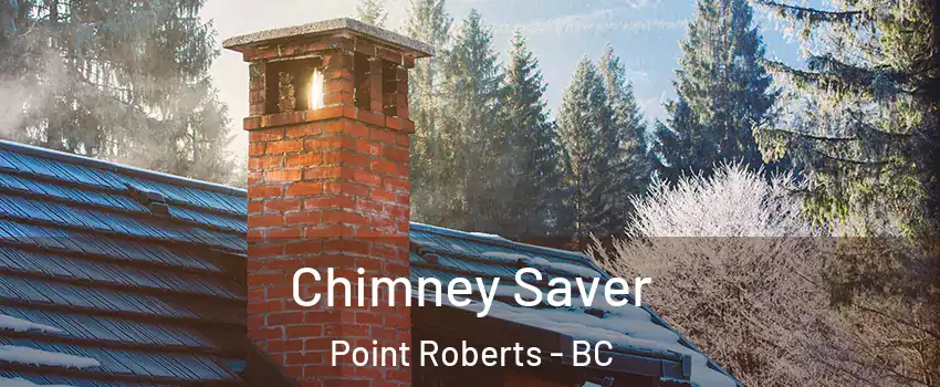 Chimney Saver Point Roberts - BC
