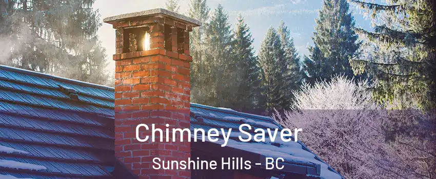  Chimney Saver Sunshine Hills - BC