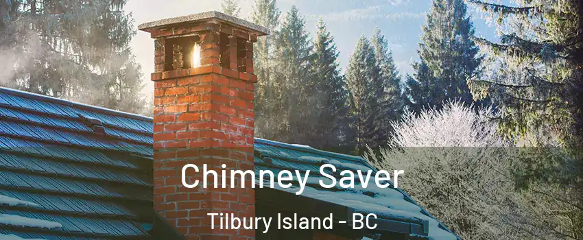  Chimney Saver Tilbury Island - BC