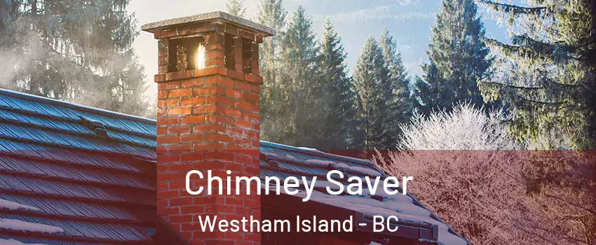  Chimney Saver Westham Island - BC