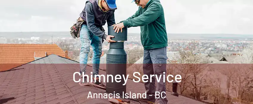  Chimney Service Annacis Island - BC