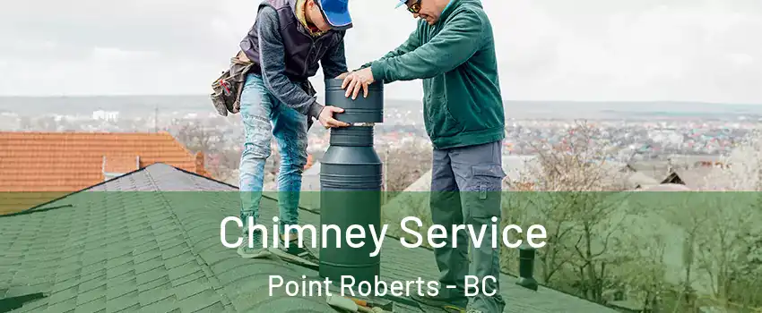  Chimney Service Point Roberts - BC