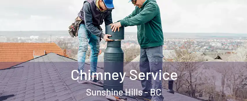  Chimney Service Sunshine Hills - BC