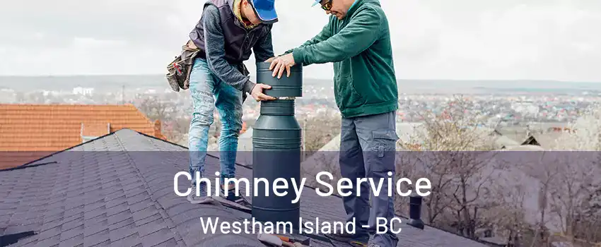  Chimney Service Westham Island - BC