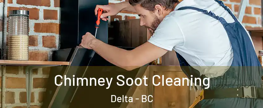  Chimney Soot Cleaning Delta - BC