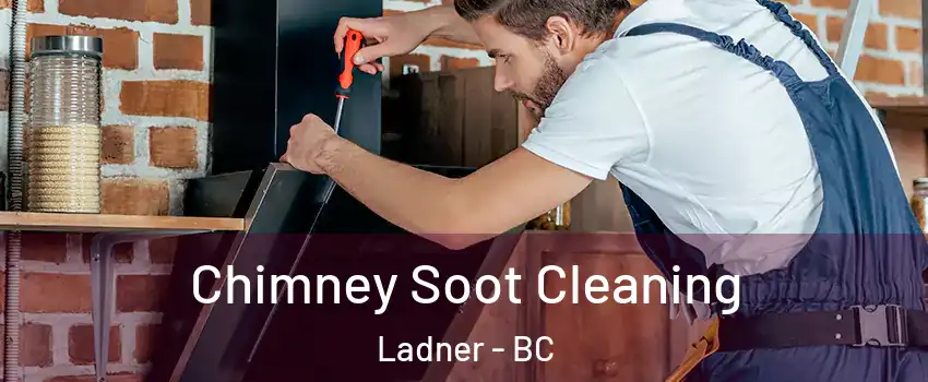  Chimney Soot Cleaning Ladner - BC