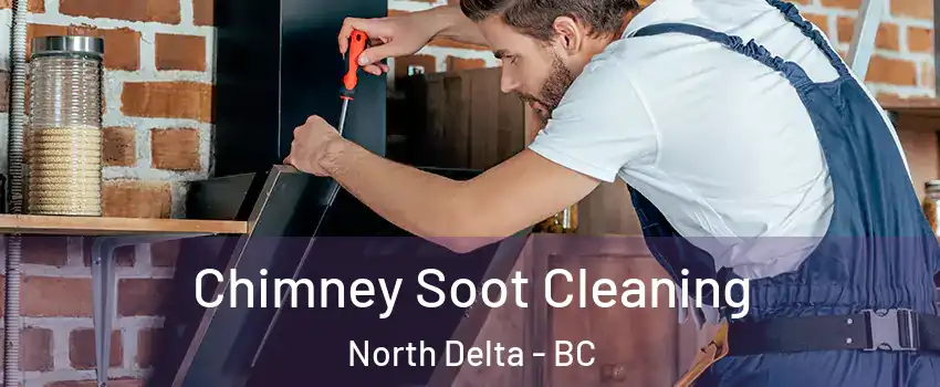  Chimney Soot Cleaning North Delta - BC