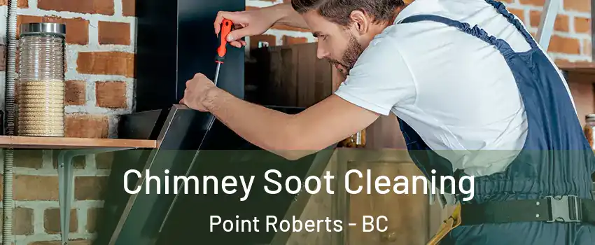  Chimney Soot Cleaning Point Roberts - BC