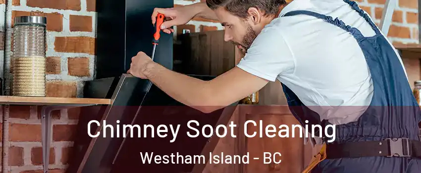  Chimney Soot Cleaning Westham Island - BC