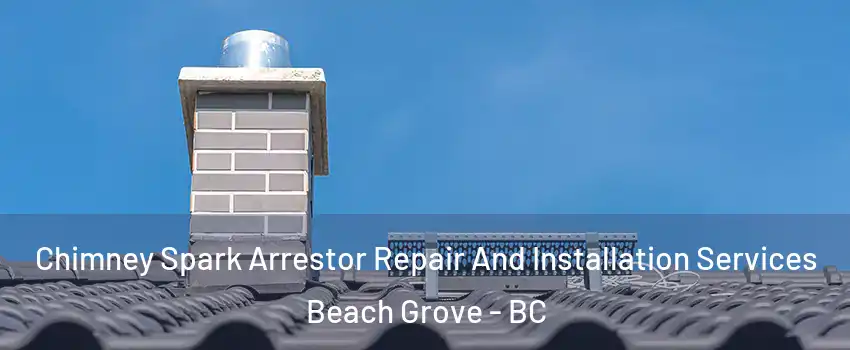  Chimney Spark Arrestor Repair And Installation Services Beach Grove - BC