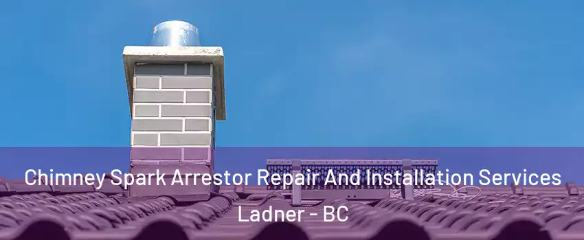  Chimney Spark Arrestor Repair And Installation Services Ladner - BC