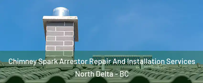  Chimney Spark Arrestor Repair And Installation Services North Delta - BC