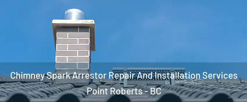  Chimney Spark Arrestor Repair And Installation Services Point Roberts - BC