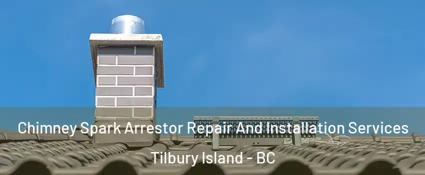  Chimney Spark Arrestor Repair And Installation Services Tilbury Island - BC