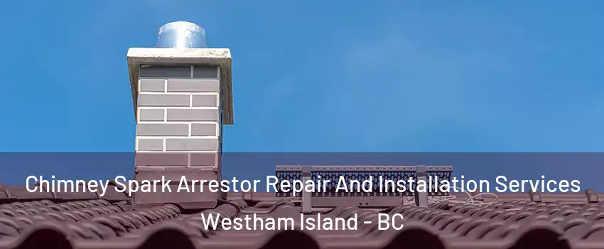  Chimney Spark Arrestor Repair And Installation Services Westham Island - BC