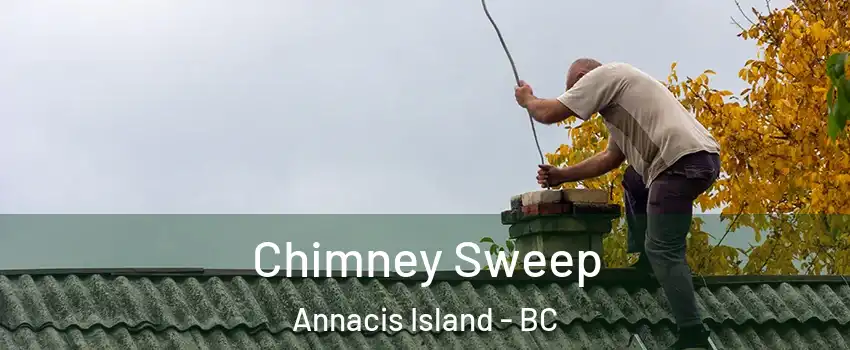  Chimney Sweep Annacis Island - BC