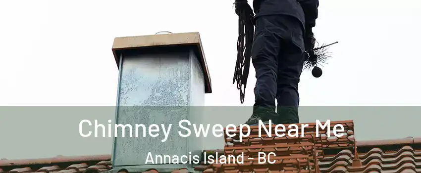  Chimney Sweep Near Me Annacis Island - BC