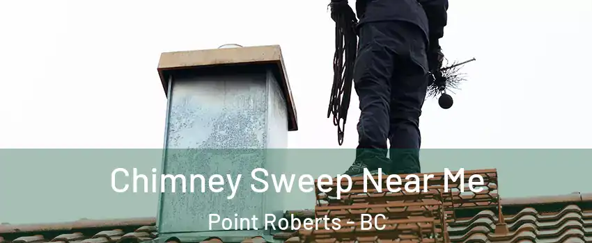  Chimney Sweep Near Me Point Roberts - BC