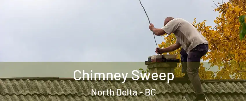  Chimney Sweep North Delta - BC